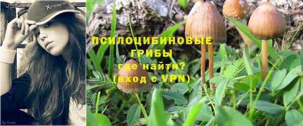 соль курить ск Верея