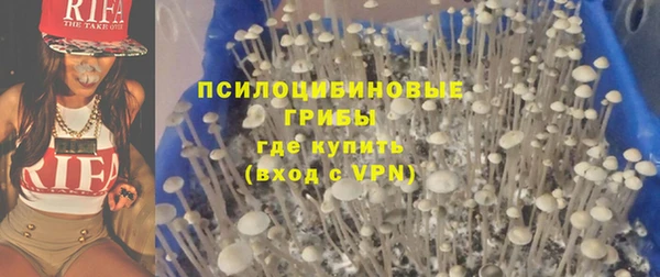 стафф Бородино