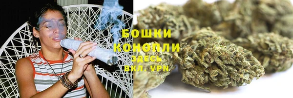 стафф Бородино