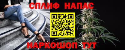 МДПВ Абинск