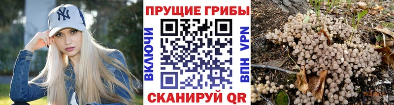 Галлюциногенные грибы мицелий  Омск 