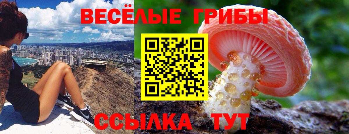 Омск  Галлюциногенные грибы мухоморы  Вход с VPN 