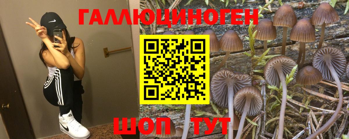 Галлюциногенные грибы Psilocybine cubensis  Вход с VPN  Омск 